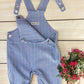 Dungaree Multicolor Stripe